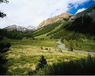 《艾尔登法环》1.05版本更新上线 玲珠可继承至下周目